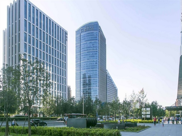 江苏正规的新西兰辐射松木价位